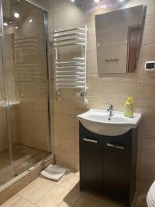 a bathroom with a sink and a shower at U Wajdy in Male Ciche +51 photos