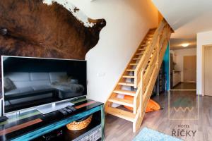 TV a/nebo společenská místnost v ubytování Apartmány pod Zakletým - Hotel Říčky
