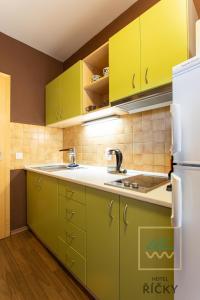 Kuchyň nebo kuchyňský kout v ubytování Apartmány pod Zakletým - Hotel Říčky