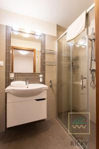 Koupelna v ubytování Apartmány pod Zakletým - Hotel Říčky