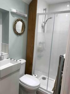 a bathroom with a toilet and a shower and a sink at Otter's Reach in Budleigh Salterton +4 photos