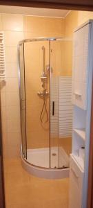 een douche met een glazen deur in een badkamer bij Apartament WARSZAWSKA in Kielce
