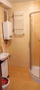 een badkamer met een douche, een toilet en een wastafel bij Apartament WARSZAWSKA in Kielce +4 foto's