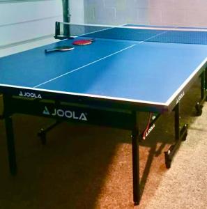 Lauatennis majutusasutuses WaterFront Chalet wHotTubDiscoballSaunaPool või selle läheduses