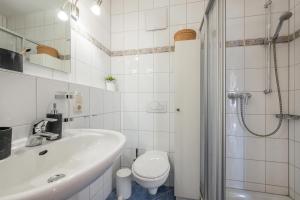 een badkamer met een wastafel, een toilet en een douche bij Düneneck 32 in Zempin