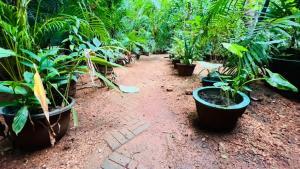 Giardino di Sigiri KP Family Home