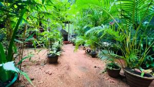 Giardino di Sigiri KP Family Home