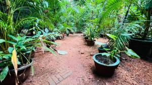 Giardino di Sigiri KP Family Home