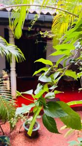 Giardino di Sigiri KP Family Home