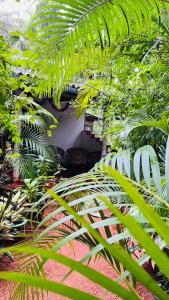 Giardino di Sigiri KP Family Home