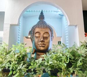 a statue of a head behind some plants at El Escondite Perfecto in Benacazón