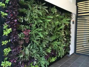 a vertical garden with plants on a wall at Hotel H53 in Sogamoso