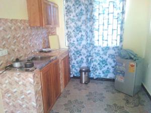 a small kitchen with a sink and a window at Executive Apartment in Cape Coast