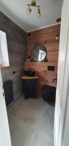 een badkamer met een wastafel en een spiegel bij Cottage MaarBurg in Ulmen