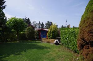 a garden with a bench and a blue shed at Ferienhaus Ostseebodden in Sundhagen
