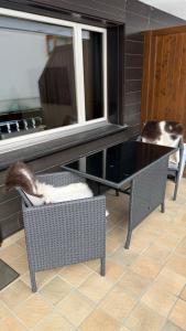 Istumisnurk majutusasutuses Chalet Apt Melesez