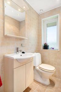 a bathroom with a toilet and a sink and a mirror at Hilleshögs Lantvilla in Landskrona