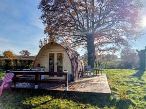 a small tent in a field with a tree at Safaripod Les Pourettes in Feusines