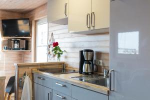 Dapur atau dapur kecil di Hausboot Lasse Huus & Meer