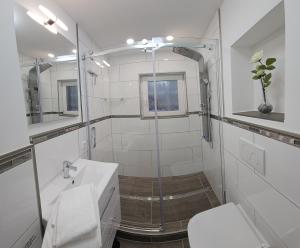 a bathroom with a shower and a toilet and a sink at Haus Ilse Wohnung 9 in Sankt Andreasberg