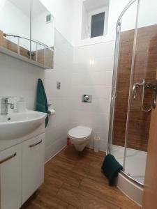a bathroom with a shower and a toilet and a sink at House in the City Center 1 piętro in Przemyśl +15 photos