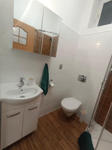 a bathroom with a sink and a toilet at House in the City Center 1 piętro in Przemyśl