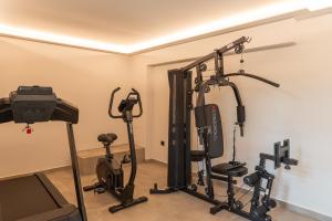 Fitness centrum a/nebo fitness zařízení v ubytování Divine Forest