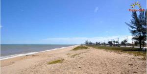 a sandy beach with trees and the ocean at Pousada Avenida Farol in Campos dos Goytacazes