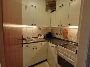 Η κουζίνα ή μικρή κουζίνα στο Apartment Barbara in Maishofen