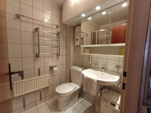 Ένα μπάνιο στο Apartment Barbara in Maishofen