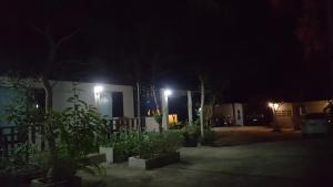 Zahrada ubytování Pai Klang Vieng