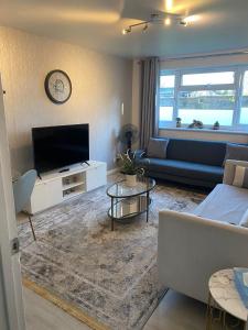 Una sala de estar con un sofá y un televisor. en One Bedroom Flat in Chiswick W4, en Londres