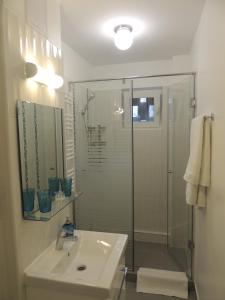 a bathroom with a glass shower and a sink at SMP Apartment in Timişoara
