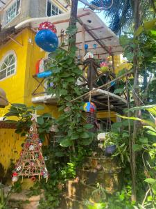 Zahrada ubytování Maison Tulum