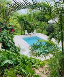 a swimming pool in a garden with two chairs and plants at Bungalow accueillant à Le Diamant avec piscine partagée in Le Diamant