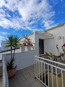 a balcony with potted plants on a white building at Appartement charmant avec vue sur mer à Schoelcher - 90 m², calme in Schœlcher