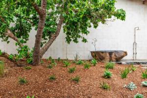 a tree and a rock in a garden at LUXE POINT in Blairgowrie