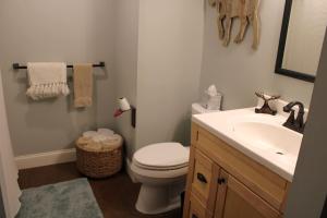 a bathroom with a toilet and a sink at The White Mountain Escape in Woodstock +20 photos