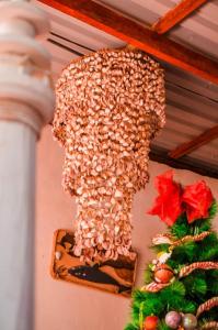 Fotografie z fotogalerie ubytování Casa de Playa en Las Peñitas v destinaci Las Peñitas + 70 fotografií