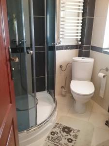 łazienka z toaletą i przeszklonym prysznicem w obiekcie Wynajem Pokoi Kasia i Józef Gałysa w Zakopanem