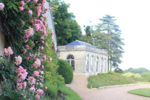 Zahrada ubytování Château d'Hodebert