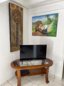 TV a/nebo společenská místnost v ubytování Adénora