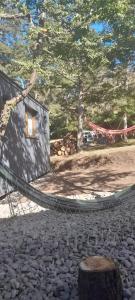 amaca di fronte a un edificio con albero di dormis bar a San Martín de los Andes
