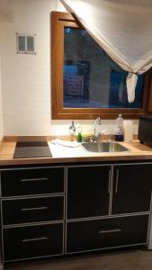 un bancone della cucina con lavandino e specchio di dormis bar a San Martín de los Andes