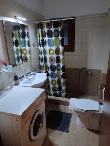 a bathroom with a toilet sink and a washing machine at Thodoris Apartment's in Eptalofos +10 photos