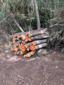 Foto dalla galleria di Urantia Casa de la Montaña a Sutatausa