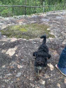 Foto dalla galleria di Urantia Casa de la Montaña a Sutatausa