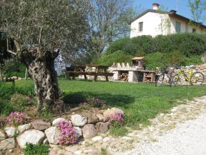 Vonkajšia záhrada v ubytovaní Agriturismo Campagnoletto