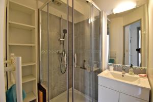 a bathroom with a shower and a sink at Escapade Provençale - T2 avec cuisine et terrase privée in Digne-les-Bains