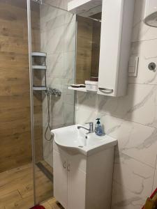 Kupatilo u objektu Vožd Apartman Divcibari